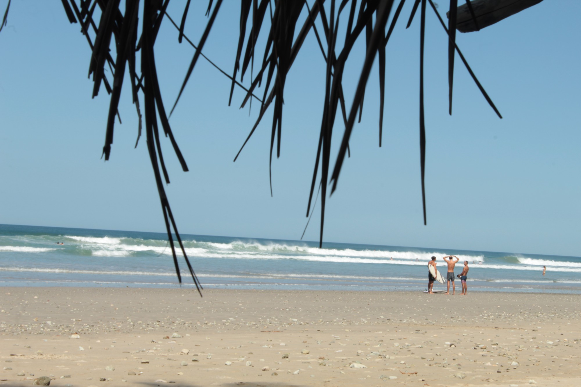 Surfers talking on the beach under a thatched palm roof