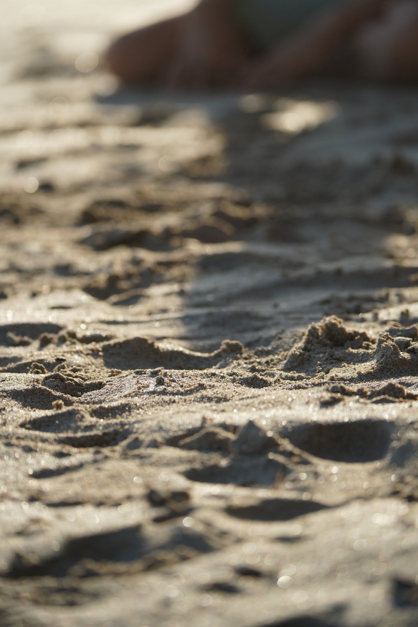 Footprints in the sand at golden hour