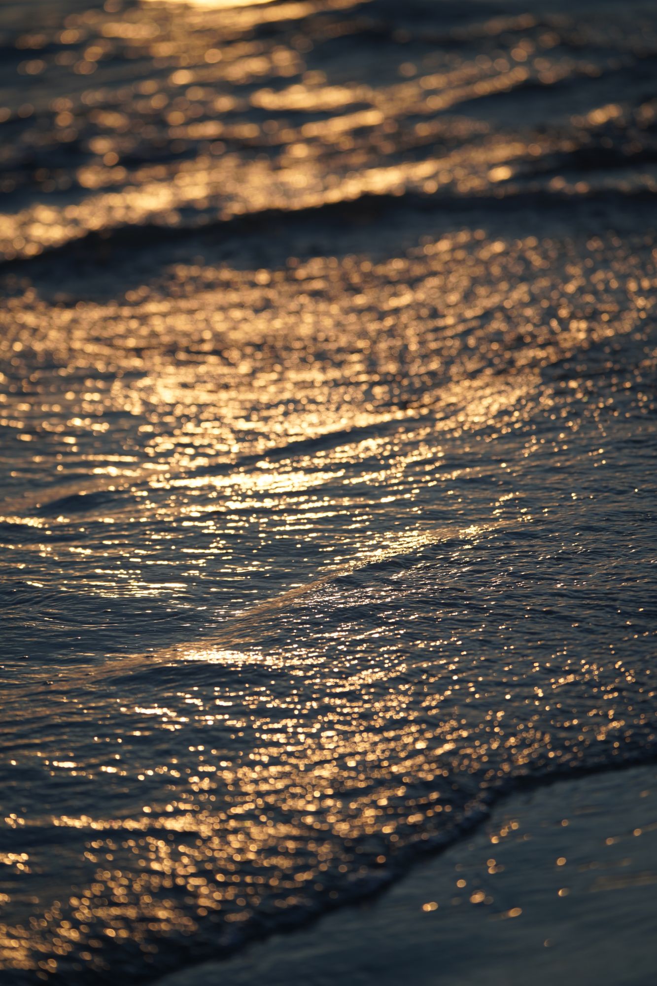 Late sun sparkling on the shore break